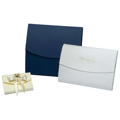 Scatola campione per il modello a portafoglio porta foto CD, DVD