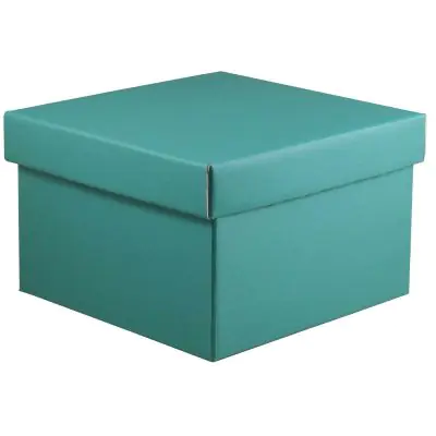 Campione del modello scatola per panettone fondo e coperchio