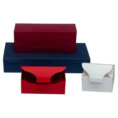 Scatola Cartoncino Colorato Coperchio Annesso