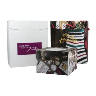 Scatole da confezione grande formato con manici e coperchio annesso