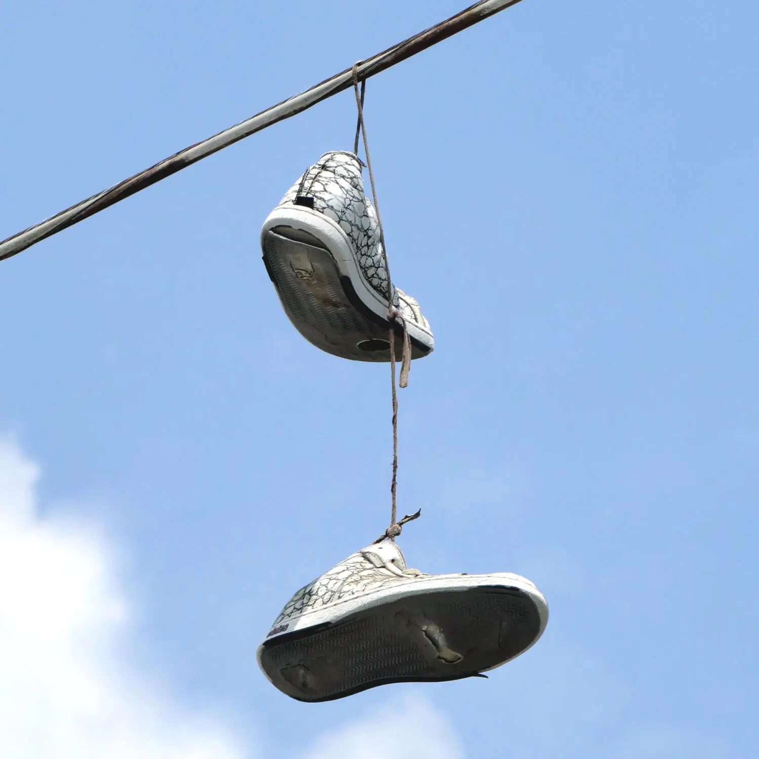 Quali sono i contenitori ideali per le scarpe?