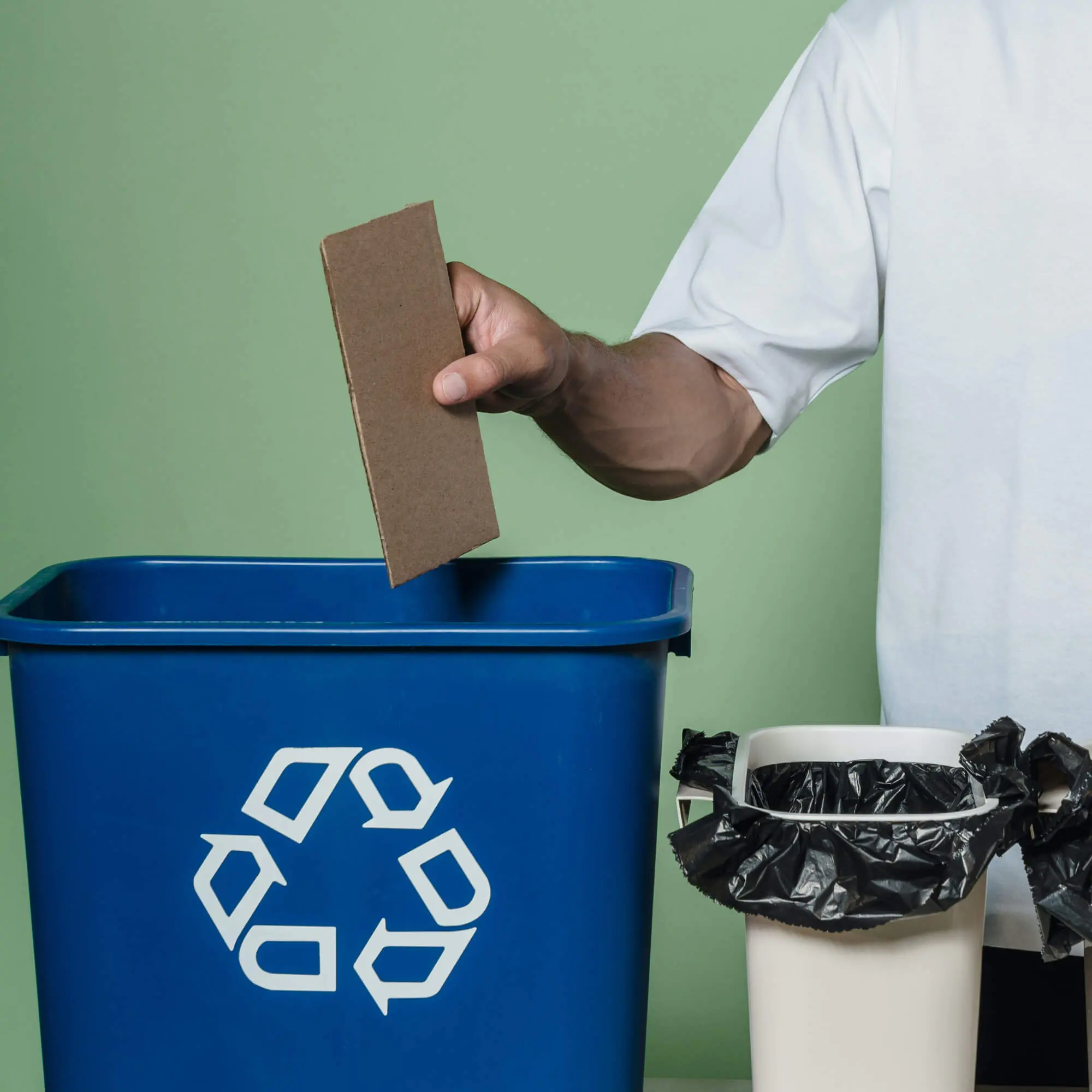 Il cartone è un materiale ecologico?