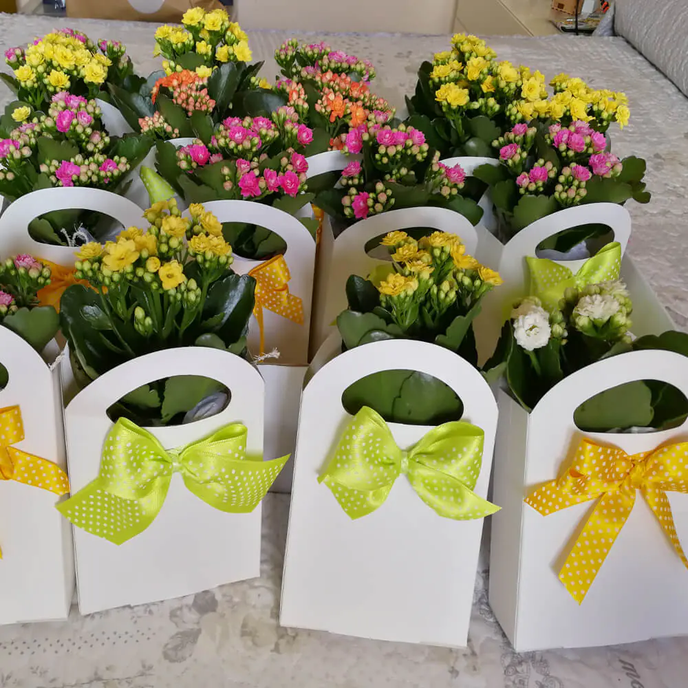 Consigli Bomboniere e Portaconfetti