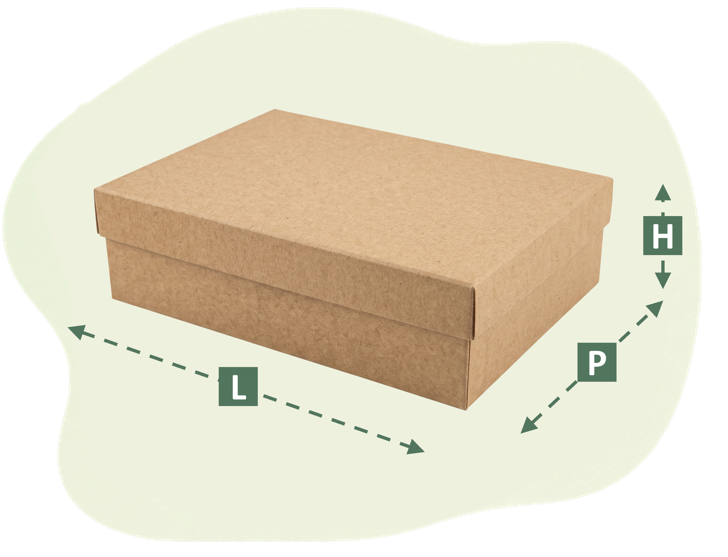 BoxScan